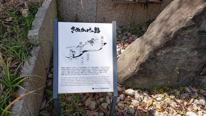#223 -’21. きぬかけの路