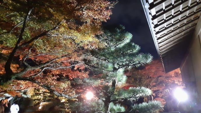 松風園に行ってきました(福岡市社交ダンススタジオ・ダンススクールライジングスタースタッフより)