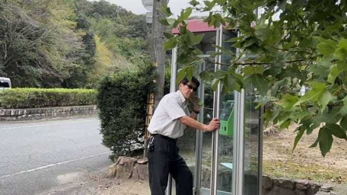 秋の風景と、最近見なくなった「公衆電話」で電話をかける男