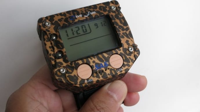 SAS.DIVE FUN ダイブファン ヒョウ柄限定モデル入庫
