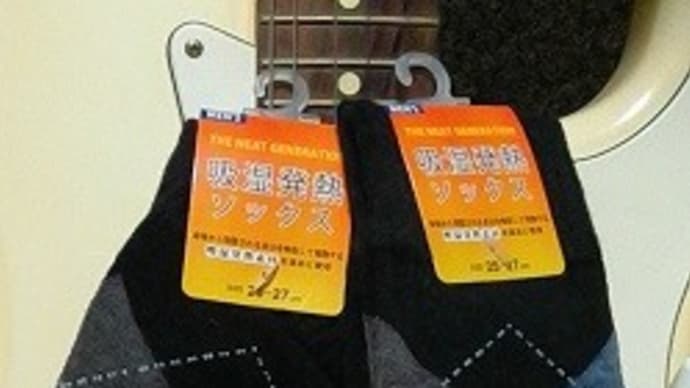 キャンドウ/吸湿発熱ソックス、冬の外出用靴下なんだね:D