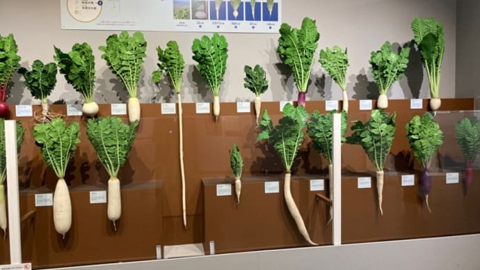 『和食展』 上野 国立科学博物館