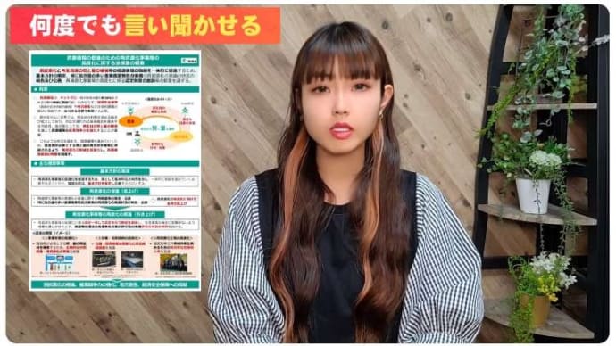 なるみさんの資料付き動画で、やっとわかった山本太郎の国会質疑。