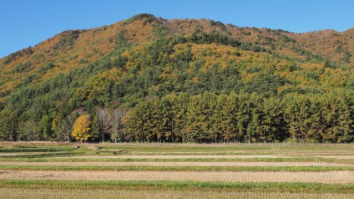 ★大町市 木崎湖から中綱湖の黄葉🍂 2022