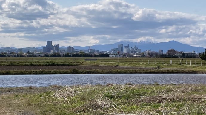５月３日　霞の目からの街並み
