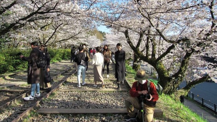 京都 蹴上インクライン &黄昏の岡崎桜回廊