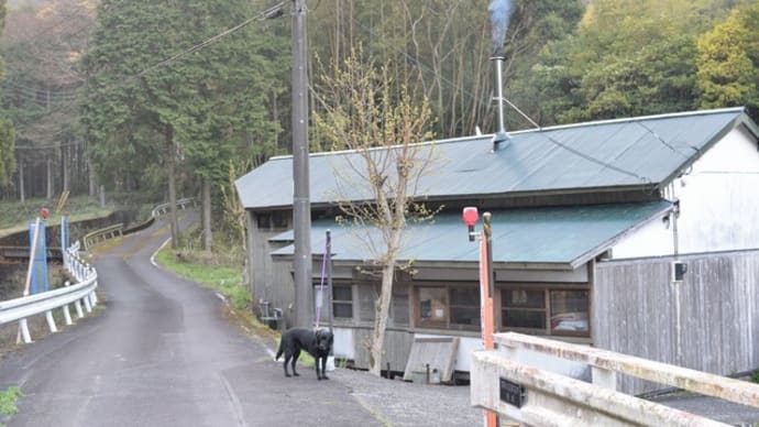 春が進む山里