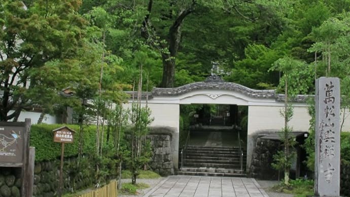 新緑の興禅寺