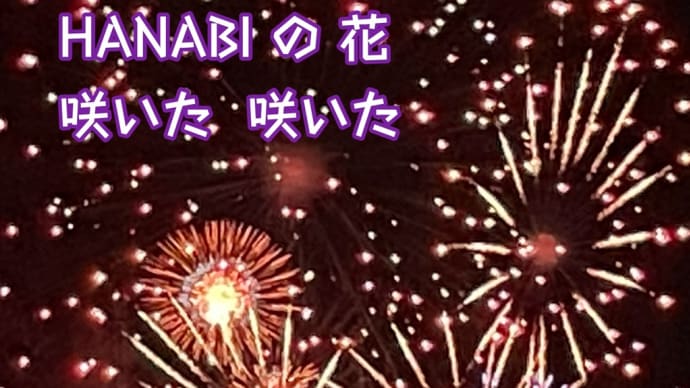 花火 / ラグの写真詩