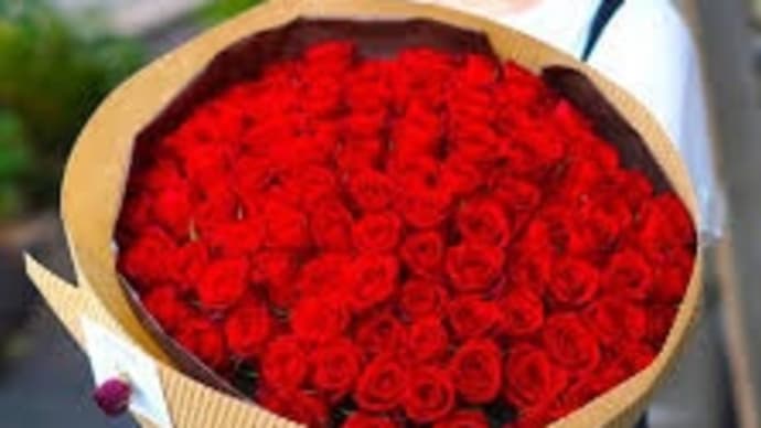🌹 薔薇108本の花言葉 💐