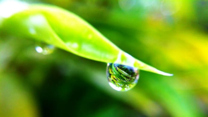 いつも 気分良く いたいですね?