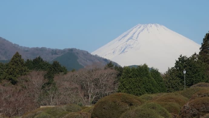 小田原から西伊豆へ 堂ヶ島