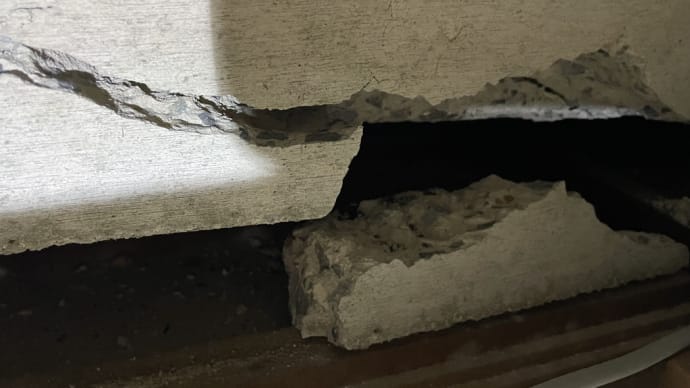 とあるお家の屋根裏・・・