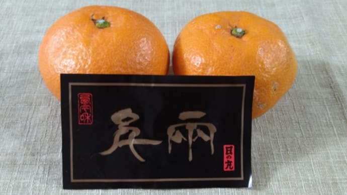 みかん キャッチは「甘すぎる」