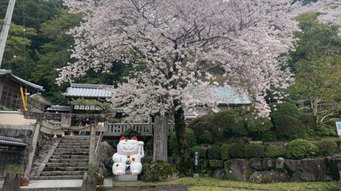 旅立ち