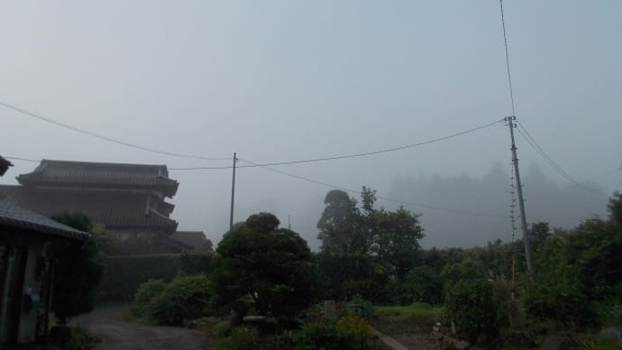 霧の朝と梅シロップ