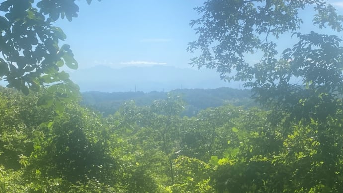 頼成の森で迷走