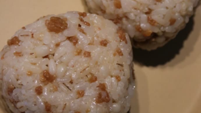 4月10日 鶏そぼろおにぎり