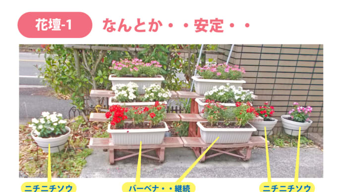 『 花壇 』造り は おくが深い・・( その 2 )・・(汗)・・