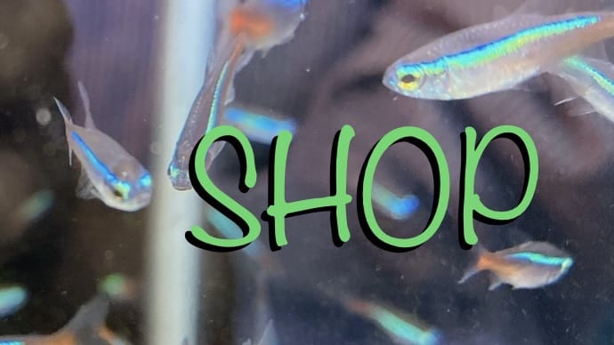 【SHOP】あくあこねくしょん 品川区