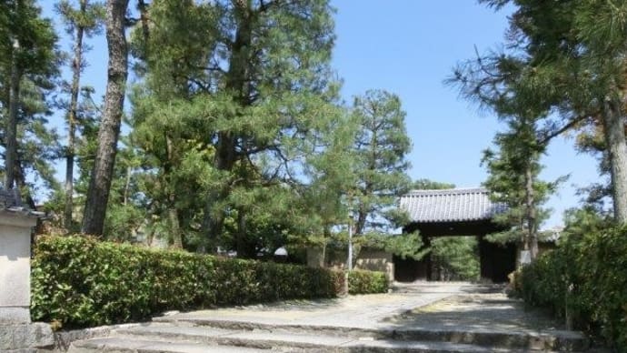 紫野大徳寺12　総見院へ