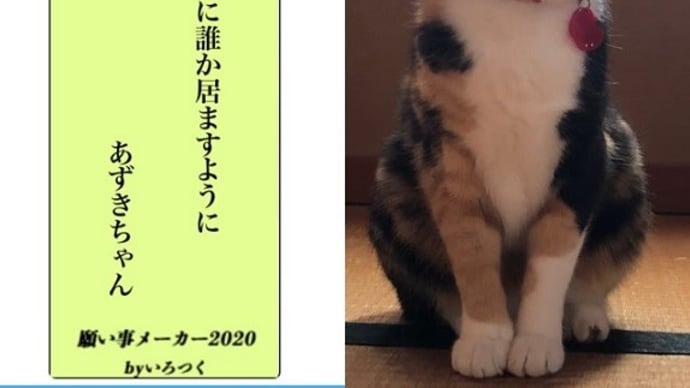 恒例・・・七夕の願い事メーカー♪