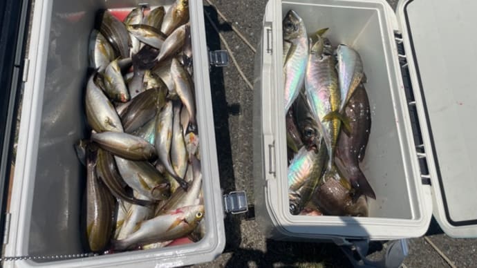 16日・釣果