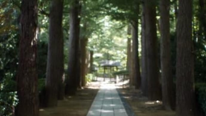 2024年 9月14日(土)の「杉並区立大田黒公園」