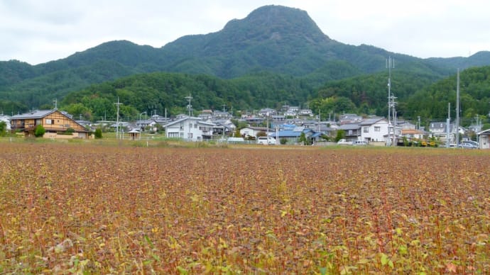 信州・・・塩田平・・・青木村の秋・・・子檀根山・・・蕎麦の収穫はもうすぐ
