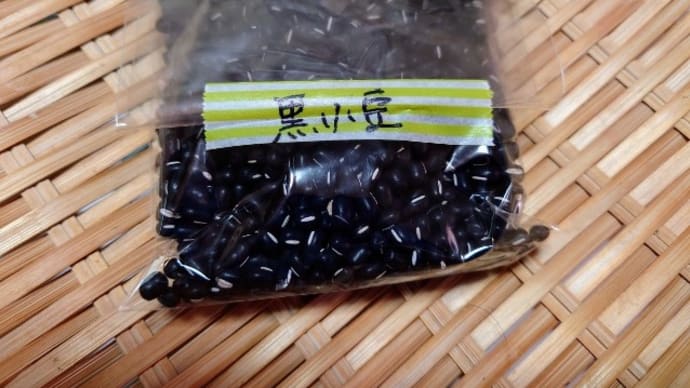 黒小豆って何?
