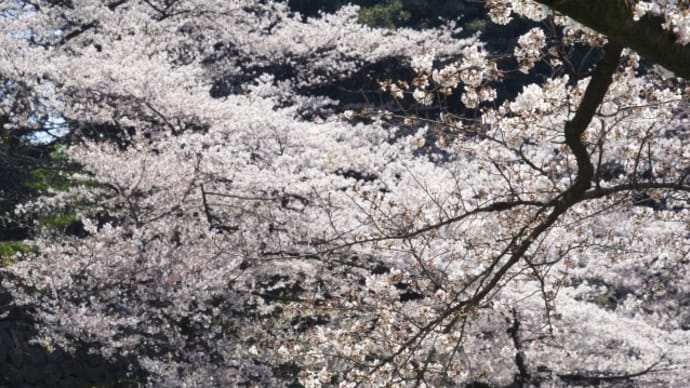2023年4月のお休み予定