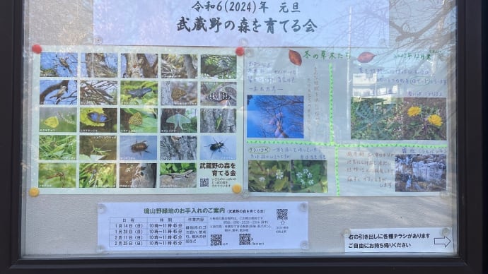 あけましておめでとうございます