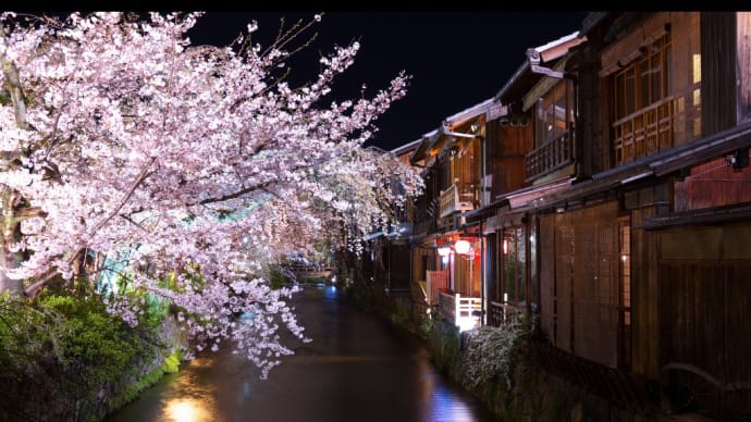 桜🌸櫻 可憐乙女激突