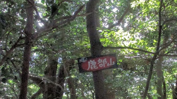 鹿部山 48