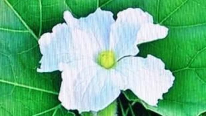 心のままに生きること