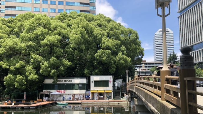 伝統の明石高校