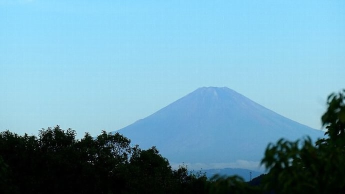 朝散歩で観る夏の青い富士