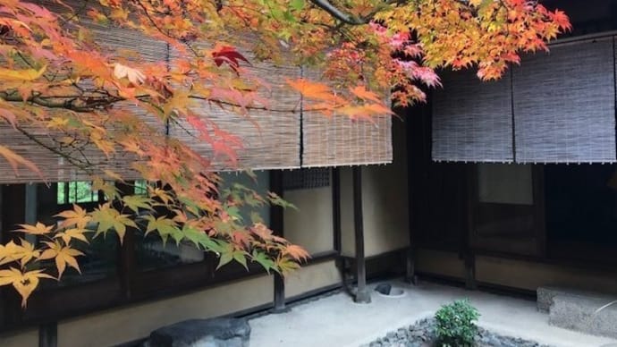 路地庭の彩り 【京菓子展2022より】