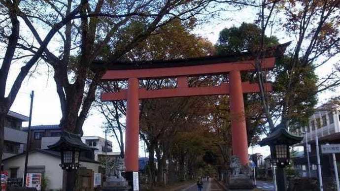 2021年「埼玉県民の日フリーパス」で行く「氷川神社・大宮公園」散策編①