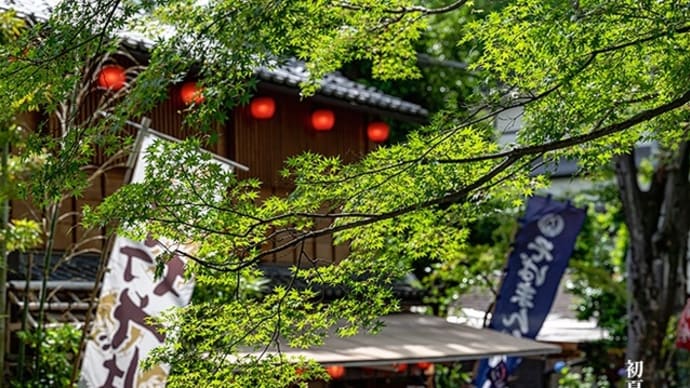 初夏に衣替え。