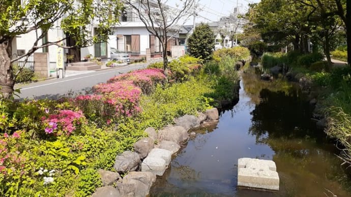 新緑のえどがわ百景/村井染工場