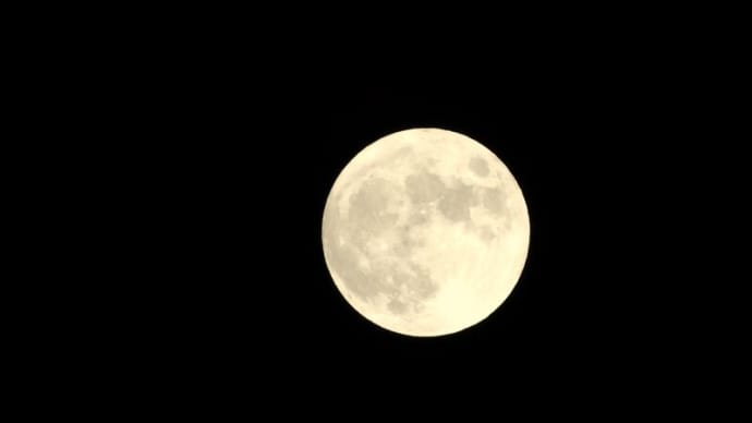 写真・最大倍率160倍撮影 ハンターズムーン