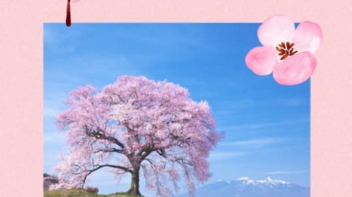 花疲れ
