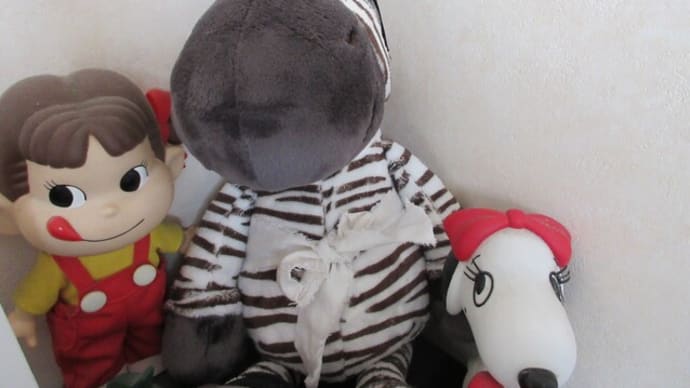 NICI 再び ペコとベルと一緒