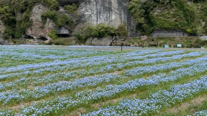 ちょい旅で青の同門辺りへ