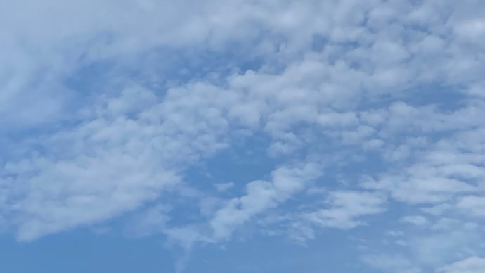 我が家の次男(末っ子