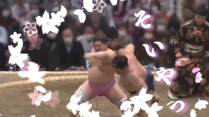 桜の妖精、宇良。