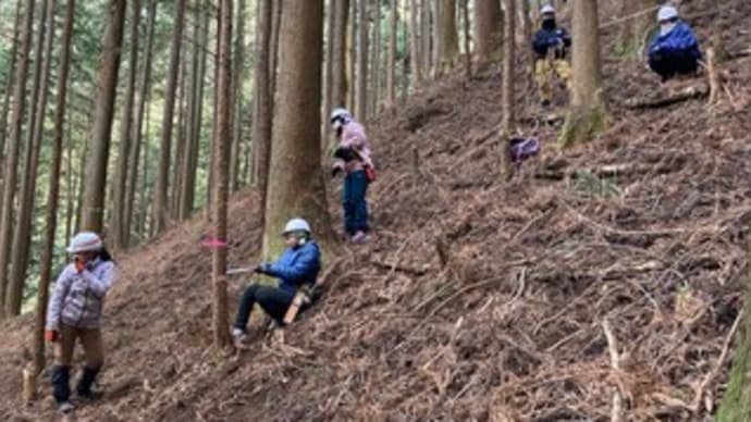 第25期里山・森林ボランティア入門講座in東京 第5回目