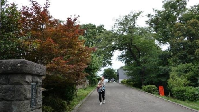 暑いとねえ… 柴犬・空海くん 抱っこde散歩!?