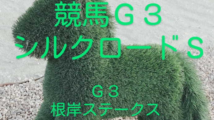 競馬G3 シルクロードステークス 根岸ステークスを振り返る 馬券の結果